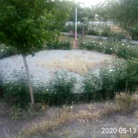 به یک نگهبان برای مجتمع مسکونی نیازمندیم