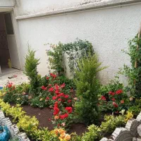 خدمات باغبانی باغچه کاری کاشت گل وگیاه فروش گل