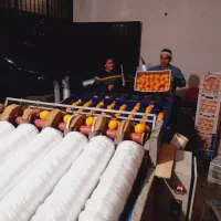 پلاستیک پیچی وگرمادرمانی|خدمات پیشه و مهارت|قائم‌شهر, |دیوار