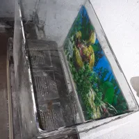 آکواریوم شیشه خم|ماهی|سبزوار, شهرک صنعتی فرودگاه|دیوار