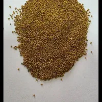 بذر یونجه بغدادی اصل