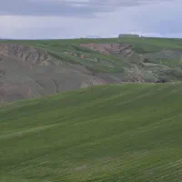 زمین کشاورزی وباغ با آب دائمی