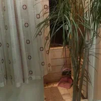 اپارتمان 72 متری تک واحدی با پارکینگ اصلی و انباری|اجارهٔ آپارتمان|تهران, افسریه شمالی|دیوار