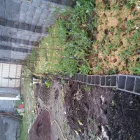 زمین مسکونی ۲۲۵متری احمدگوراب|فروش زمین و ملک کلنگی|رشت, احمد گوراب|دیوار