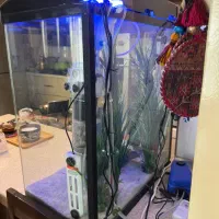 ست کامل آکواریوم با تجهیزات حرفهای|ماهی|تهران, قیطریه|دیوار