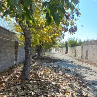 زمین۴۲۰م تهراندشت/ حاشیه بافت /حاجی آباد|فروش زمین و ملک کلنگی|هشتگرد, تهران دشت|دیوار