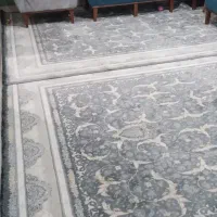 فرش۹متری|فرش|ری, سیزده آبان|دیوار