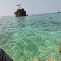 استخدام نقاش حرفه ایی برای شهرستان