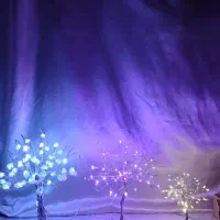 درختچه مینیاتوری|صنایع دستی و سایر لوازم تزئینی|ایرانشهر, |دیوار