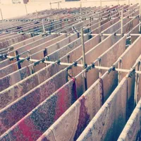قالیشویی آفتاب