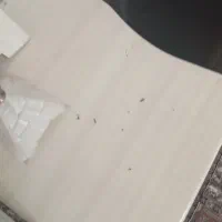 اینه و شمعدان|بوفه، ویترین، کنسول|نیشابور, شهید بهشتی|دیوار