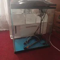 اکواریوم اماده