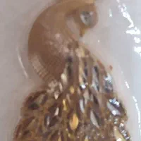 سکه پارسیان برای روز مادر