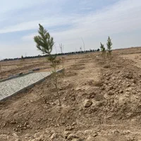 ۱۳۰۰متر‌زمین(سند۶دانگ)سهیلیه.زعفرانیه.کردان|فروش زمین و ملک کلنگی|کرج, گوهردشت|دیوار