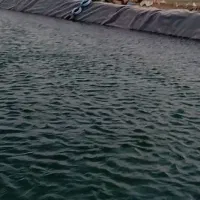 اجاره زمین کشاورزی یا نصفه ای