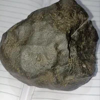 شهاب سنگ مریخی‌ها