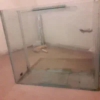 اکواریوم بزرگ سالم مفت