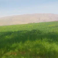 فروش زمین کشاورزی