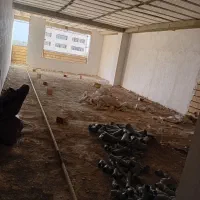 فروش یک واحد۱۵۷متری وتهاتر باواحدکوچکترسنددار|فروش آپارتمان|کرج, شهرک جهان آرا|دیوار