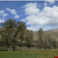 زمین-اوقافی-روستای-یوش