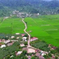 لیسار ۲۱۰ متر *فوری*