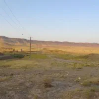 فروش-زمین