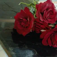 گل و گلدان فروشی|گل مصنوعی|کوهدشت, |دیوار