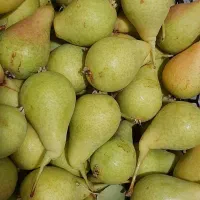 گلابی‌‌وهلو‌