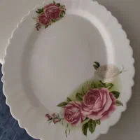 فروش دو دست اکروپال|ظروف سرو و پذیرایی|رومشکان, |دیوار