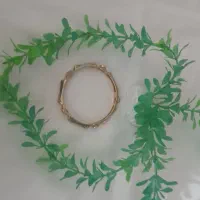 النگو صوفی|بدلیجات|کهنوج, |دیوار