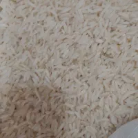 برنج هاشمی سورتینگ شده صدرصد خالص