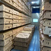 جوجه جهادی اصفهان|حیوانات مزرعه|شیراز, باغ تخت|دیوار