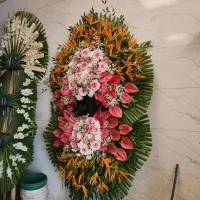 تاج گل از مراسم برگشته