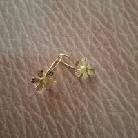 انگشتر وگوشواره|جواهرات|دورود, |دیوار