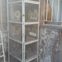 فروشی جفتی محکم تمیز،تورریز بافت|لوازم جانبی حیوانات|بوئین زهرا, |دیوار