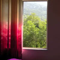 شاگرد یا همکار فروش