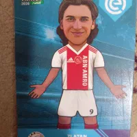 یکی ببر یکی هدیه