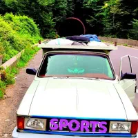 وانت /نیسان حمل بار