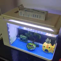 اکواریوم ماهی|ماهی|تهران, امیریه|دیوار