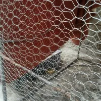 قفس بزرگ1/10در1مناسب مرغ خروس کبوترمرغ عشق|لوازم جانبی حیوانات|ایرانشهر, |دیوار