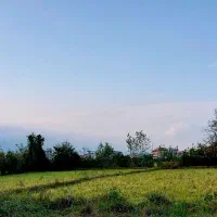 فروش زمین مسکونی|فروش زمین و ملک کلنگی|رضوانشهر, |دیوار