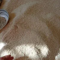 برنج هاشمی سرلاشه|خوردنی و آشامیدنی|رشت, شهریاران|دیوار