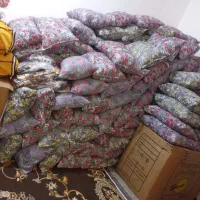 بالشت|رختخواب، بالش، پتو|دوگنبدان, |دیوار