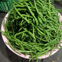 استانبولی
