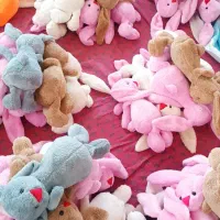 استخدام نیروی خانم شیفت صبح