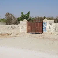 زمین حاشیه جاده چناران