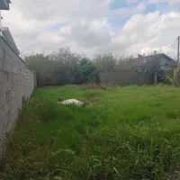 فروش ۵۰۰متر زمین مسکونی ساحلی زیر قیمت منطقه|فروش زمین و ملک کلنگی|خشکبیجار, |دیوار