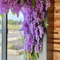 اجرای تخصصی درخت شکوفه گل ارایی گرین وال|گل مصنوعی|اصفهان, خواجو|دیوار