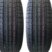 لاستیک کویر ساینا نو