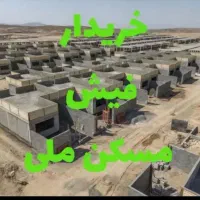 فیش ویلای ۳۰۰متری پرنیان